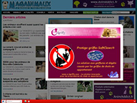 http://www.maganimaux.com