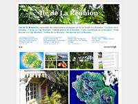 http://ile-de-la-reunion.info/