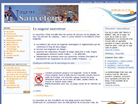 http://nageur.sauveteur.free.fr