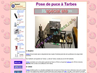 http://tarbes.pose-de-puce.info