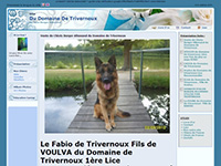 http://trivernoux.chiens-de-france.com