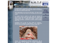 http://www.amtp.fr