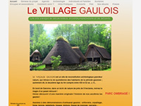 http://www.archeosite-gaulois.asso.fr/