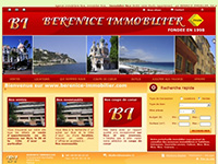http://www.berenice-immobilier.com