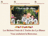 http://www.bichon-frise.fr