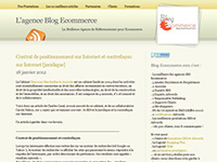 http://www.blog-ecommerce.com