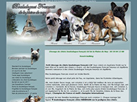 http://www.bouledogue-francais.info