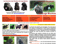 http://www.bouvier-des-flandres.com