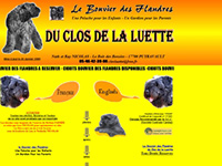 http://www.bouviersdesflandres-chiots.com