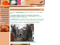 http://www.british-shorthair.fr