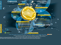 http://www.capocea.com