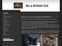 http://www.chats-british-shorthair.com