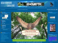 http://www.chouettes.com