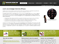 http://www.consultant-internet-pme.com