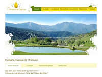 http://www.domaine-capoue.com/home/index.html