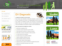 http://www.dv-diagnostic.com