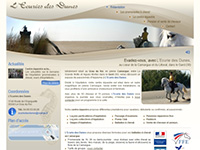 http://www.ecurie-des-dunes-camargue.fr/