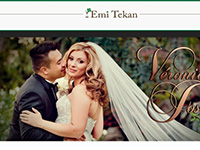 http://www.emi-tekan.com