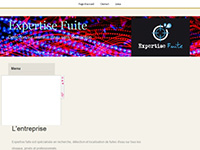 http://www.expertise-fuite.com/