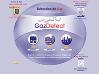 http://www.gazdetect.com