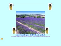 http://www.gite-luberon.com