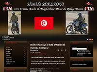 http://www.hamidaseklaoui.net