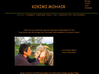 http://www.kokimi-mohair.com