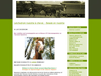 http://www.latchodrom-roulotte-cheval.fr
