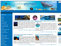 http://www.paradise-plongee.com