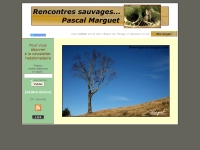 http://www.pascal-marguet.com