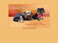 http://www.passion-yorkie.com