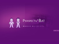 http://www.perspectivbat.com