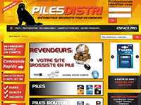 http://www.piles-grossiste-distributeur.fr/