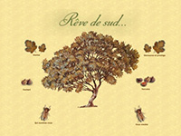 http://www.revedesud.com