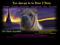 http://www.sharpei-tourdivory.fr