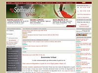 http://www.sommeliervirtuel.com