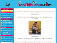 http://www.topchihuahua.com